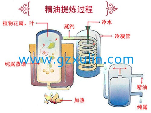 广州旭林精细化工有(yǒu)限公司