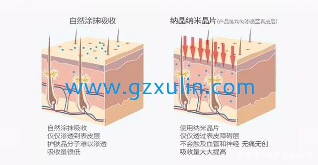 广州旭林精细化工有(yǒu)限公司