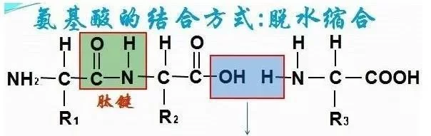 广州旭林精细化工有(yǒu)限公司