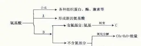 广州旭林精细化工有(yǒu)限公司